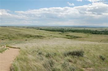 custer13