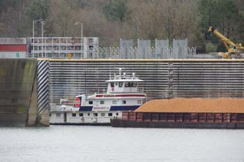 pickwick dam12