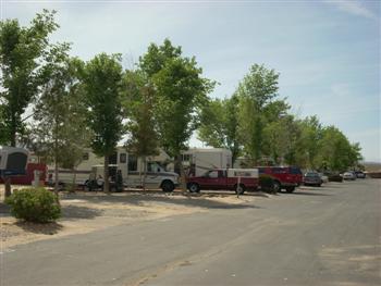 29palms04