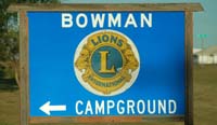 bowman lions01