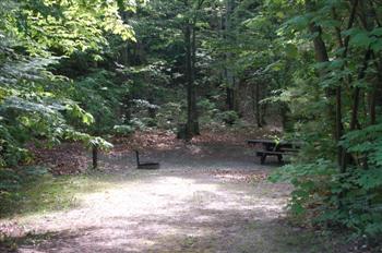 brevoort03
