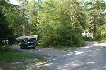 caribou06
