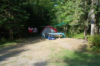 caribou07