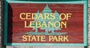 cedars1