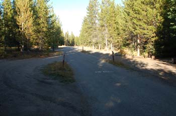 colter bay09