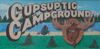 cupsup1