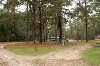 chehaw park06
