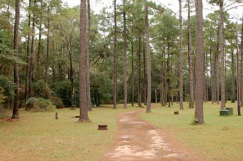 chehaw park11