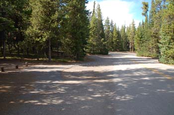 grant ynp04