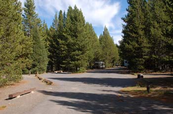 grant ynp06