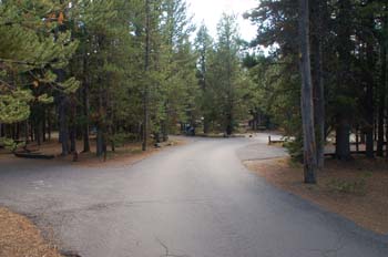 grant ynp08