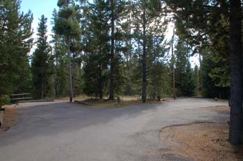 grant ynp11