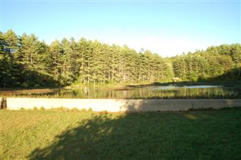 greenfield11