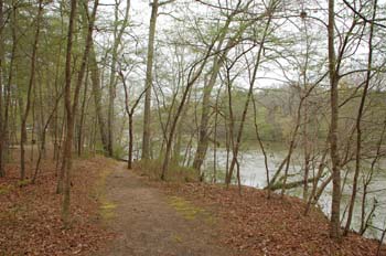 lock and dam31