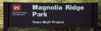magnolia01