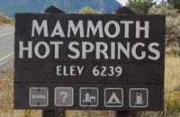 mammoth ynp01