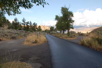 mammoth ynp09