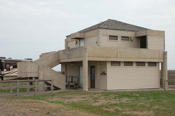 mustang island04