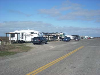 mustang island09
