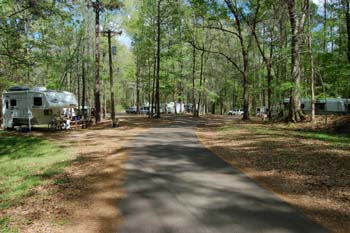 natchez5