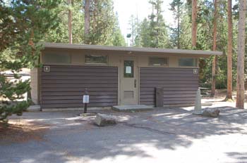 norris ynp03