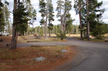 norris ynp10