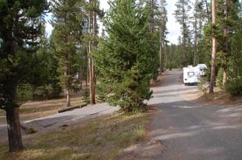 norris ynp11