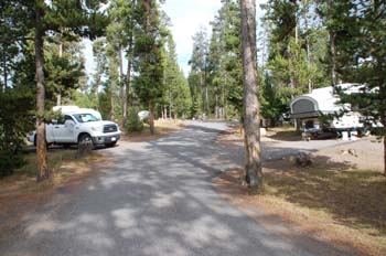 norris ynp13