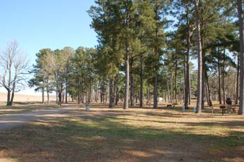 oak grove07