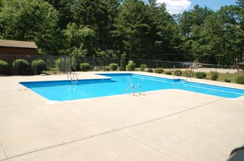partridge hollow03