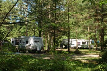 partridge hollow10