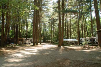 partridge hollow13