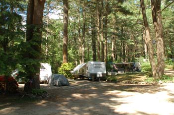 partridge hollow14