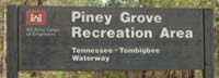 pineyg1