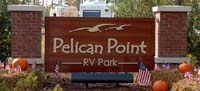 pelican point01