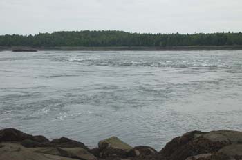 reversing falls11