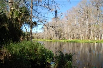 silverriver04