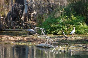 silverriver06