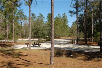 silverriver25