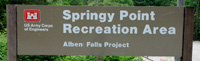 springy01