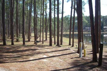 sand pond04