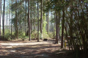 sand pond11