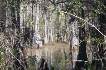 sand pond21