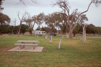 sayre park07