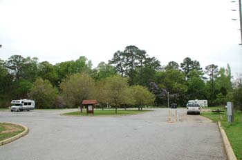 spring creek02