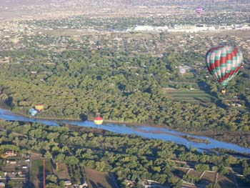 balloon fiesta225