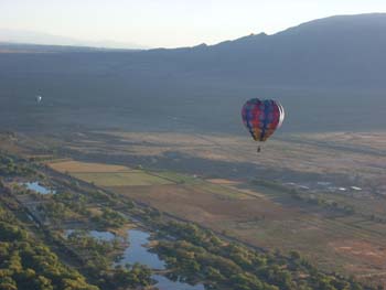 balloon fiesta228