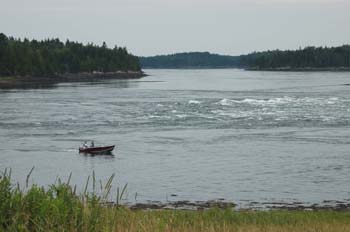 reversing falls18