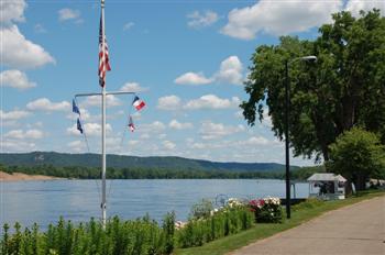 mn11