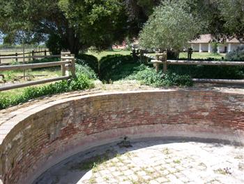 purisima23